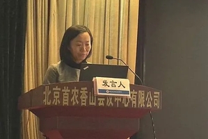 聚焦课程活动设计 深化国际理解教育