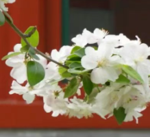 殷力鹰：《算学启蒙》对七年级数学教学的启迪意义
